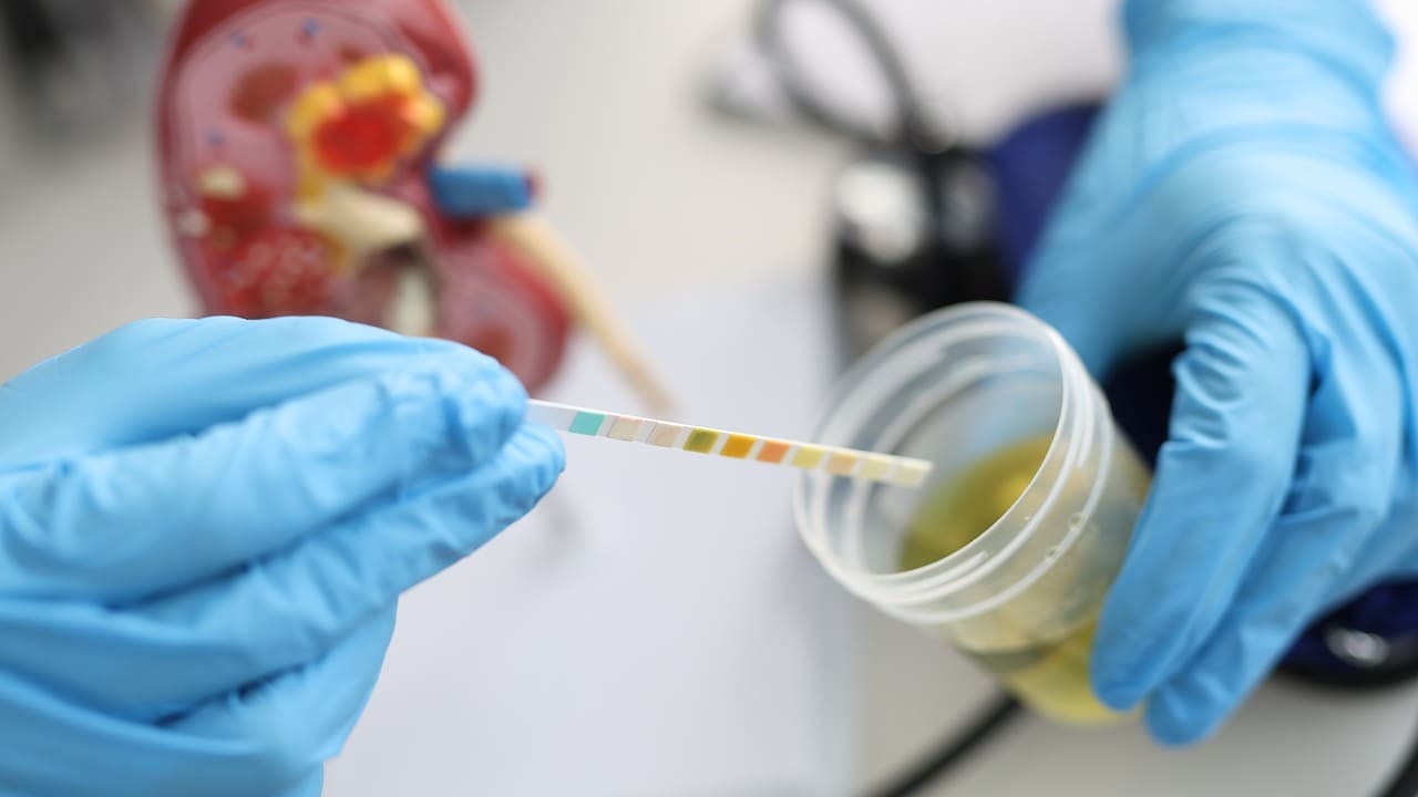 Pediatric Nephrology