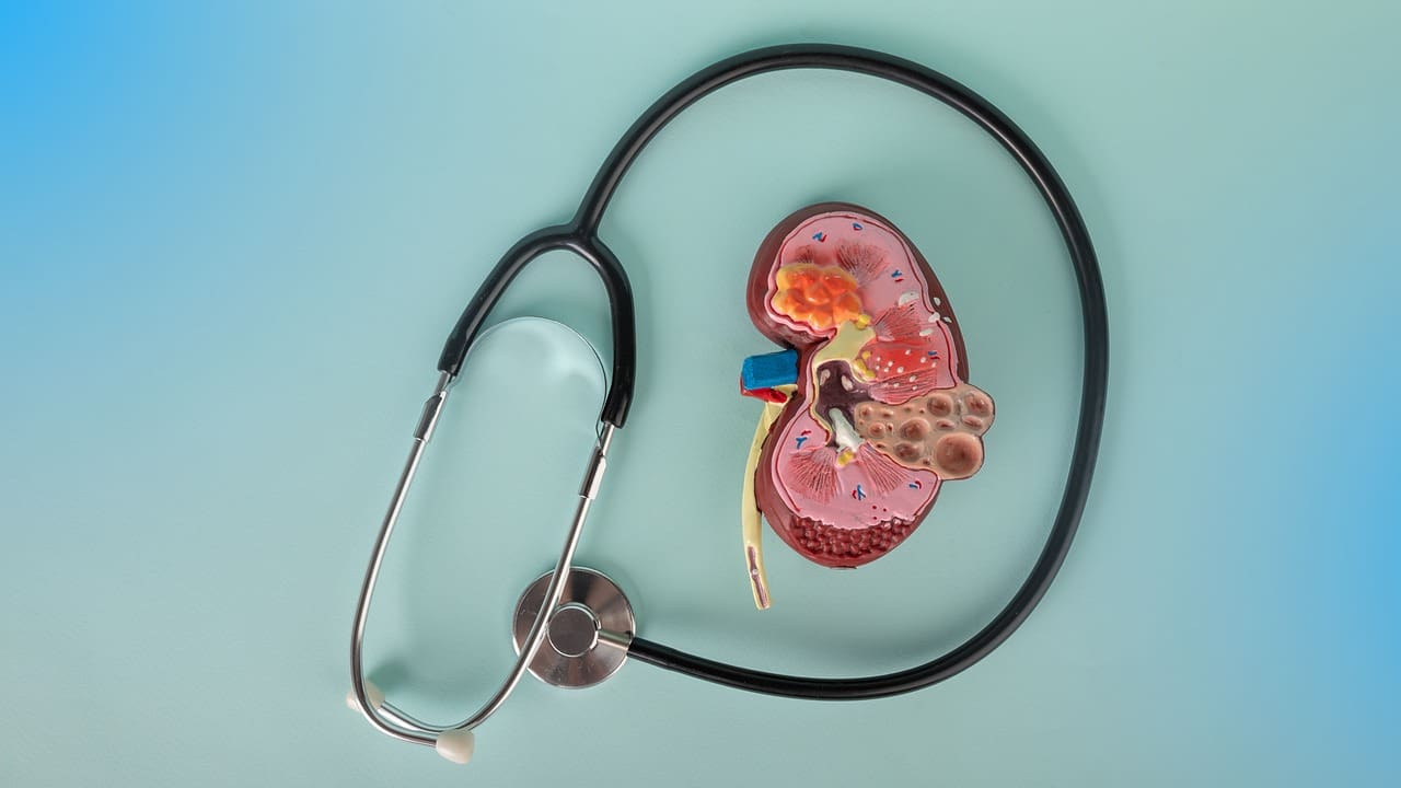 Pediatric Nephrology