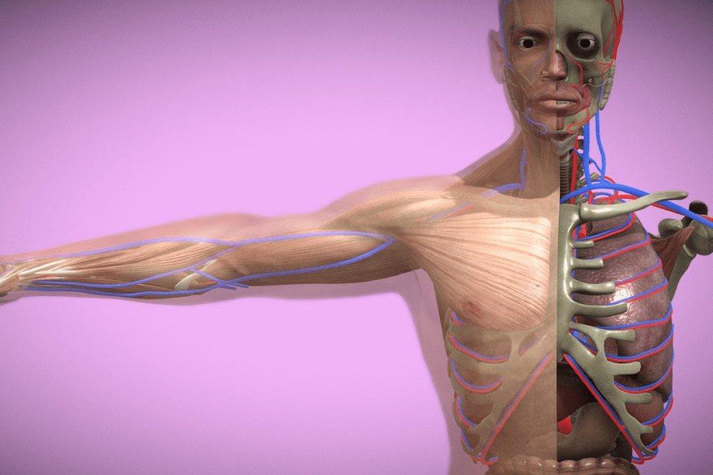 Breast MRI Sensitivity: How Well MRI Detects Breast Cancer 3 Breast MRI Sensitivity: How Well MRI Detects Breast Cancer