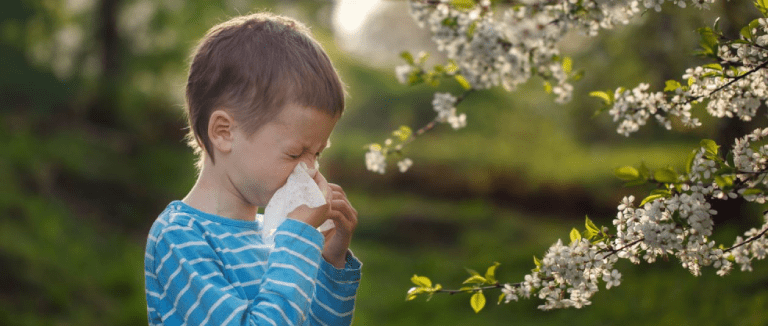 Spring Allergy: 5 Comfortable Care Tips 3 Why Does Spring Allergy Occur in Children?