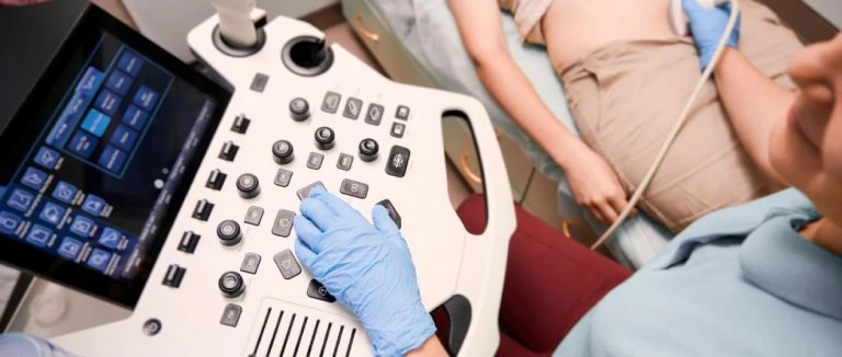 In Vitro Fertilization -IVF-