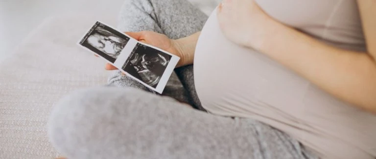 In Vitro Fertilization -IVF-