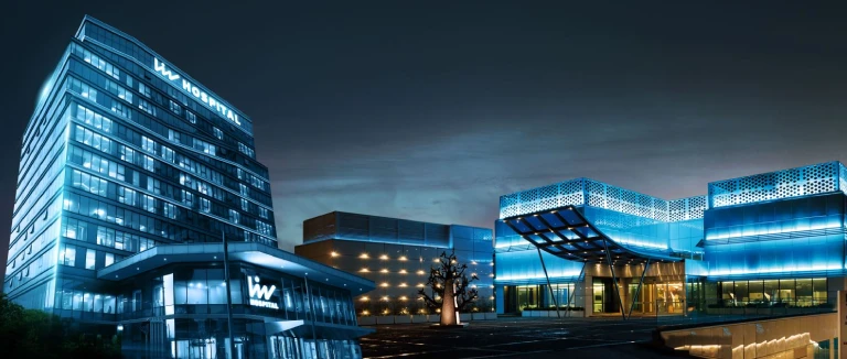 Gastric Sleeve Surgery