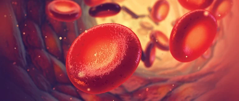 Mediterranean Anemia -Thalassemia-