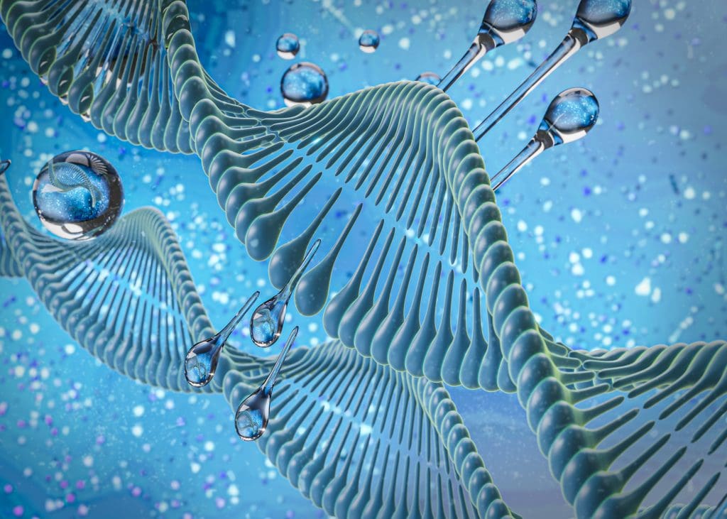 stem cell therapy help knee pain