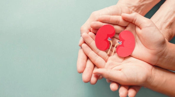 Chronic Kidney Diseases