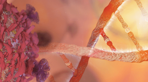 Target-Oriented Irradiation In Prostate Cancer Treatment: 4-Dimensional Brachytherapy