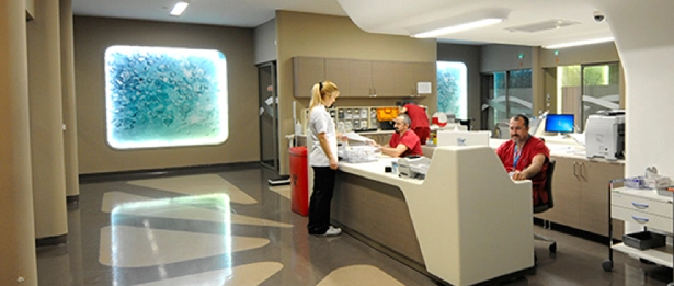 Emergency Department