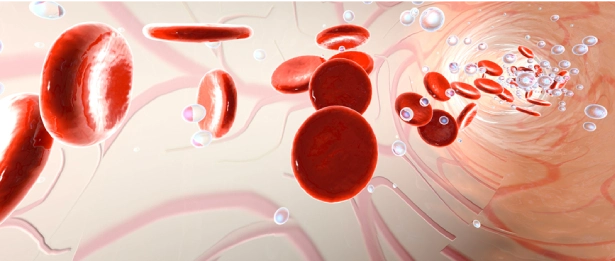 Pediatric Hematology and Oncology