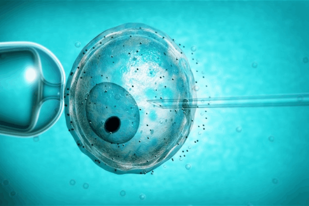 ICSI IVF Success Rates: The Shocking Comparison