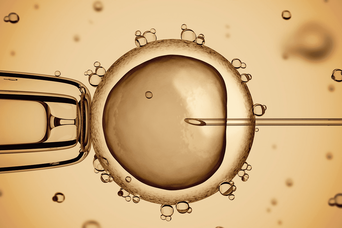 Comprehensive Guide to Your FET Protocol Calendar and Medications