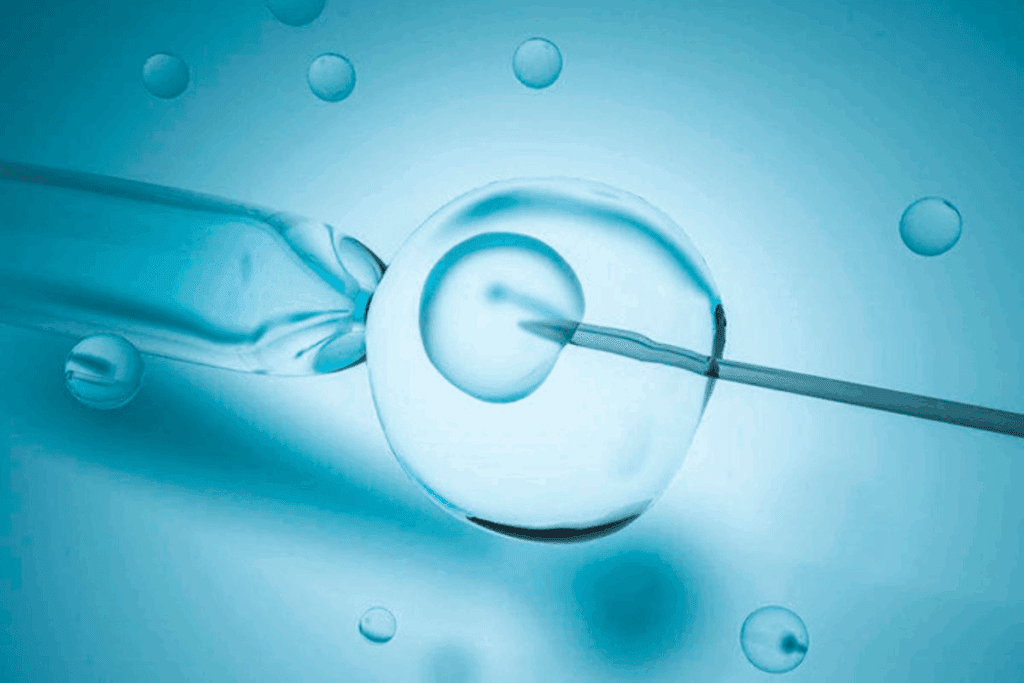 What to Expect on day 10 embryo Transfer (10dp FET)