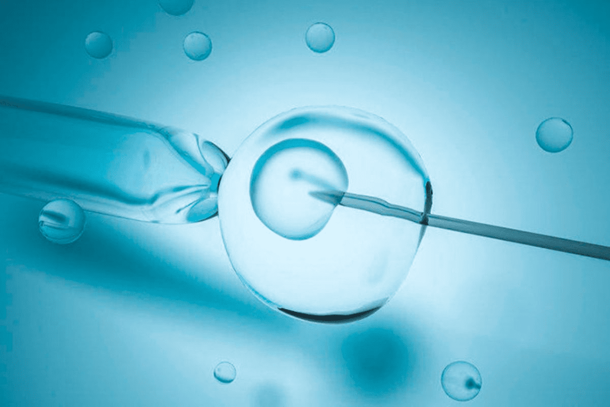 What to Expect on day 10 embryo Transfer (10dp FET)