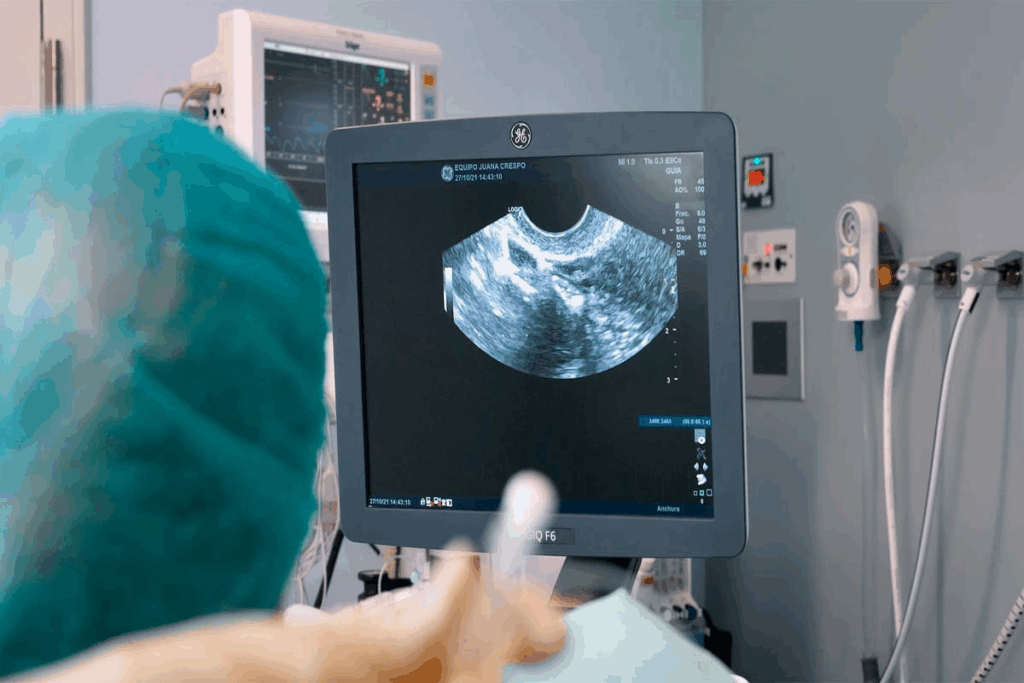 The Complete Embryology Day by Day Timeline Explained