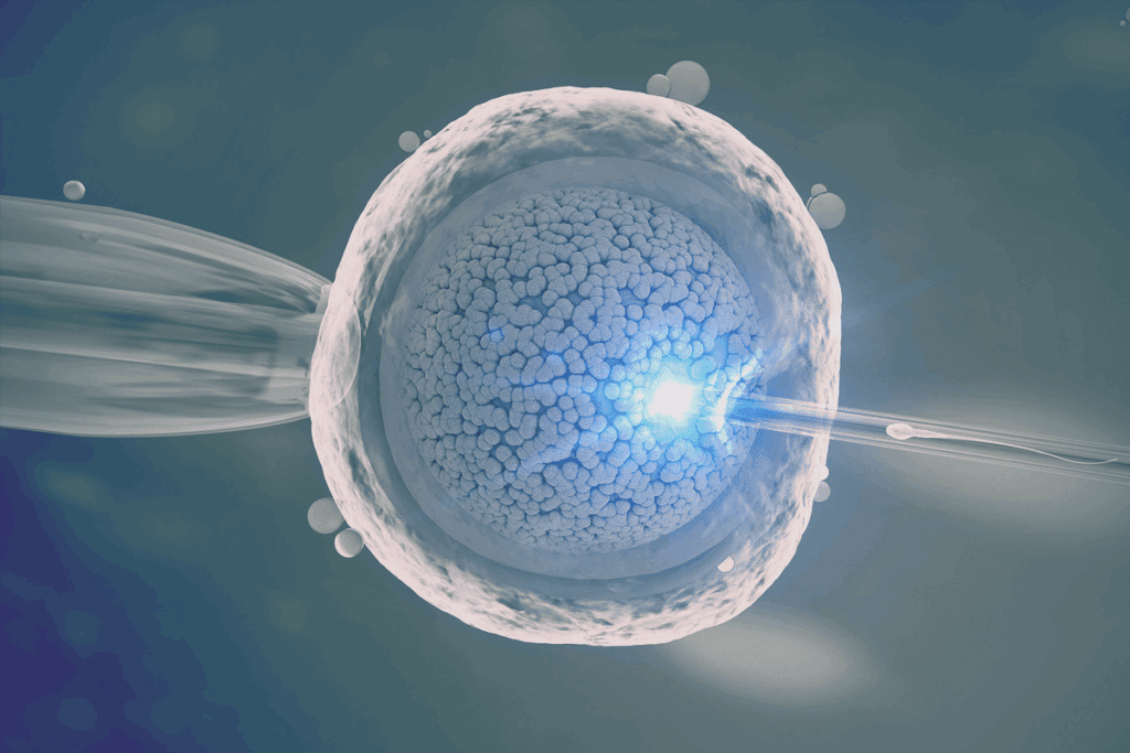 Moral arguments against artificial insemination (IVF/IUI)