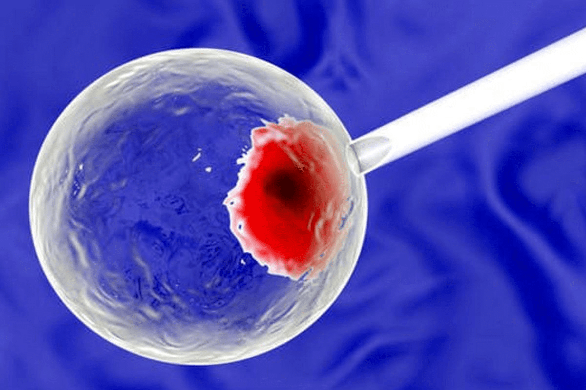 Yield Rate: how many embryos make it to blastocyst Stage?
