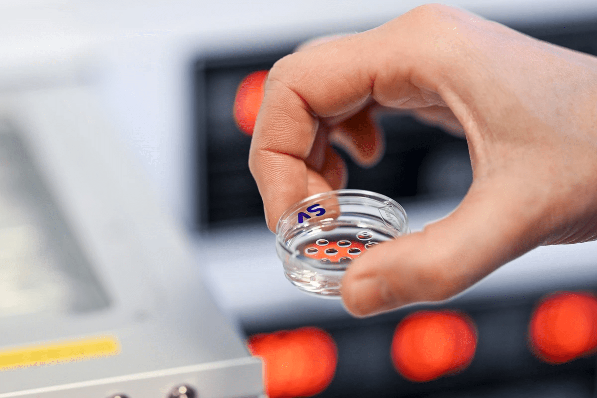 Calculating Your ivf embryo transfer due date Accurately