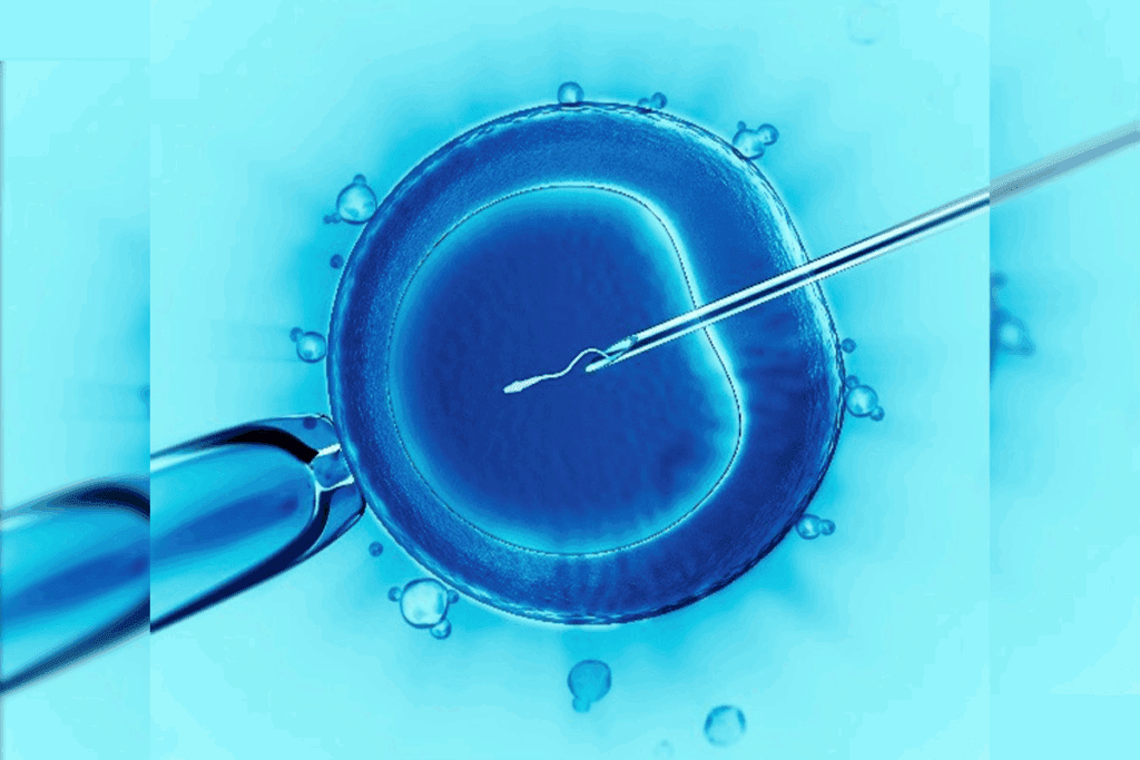 Optimal Size: how big should follicles be for egg retrieval?