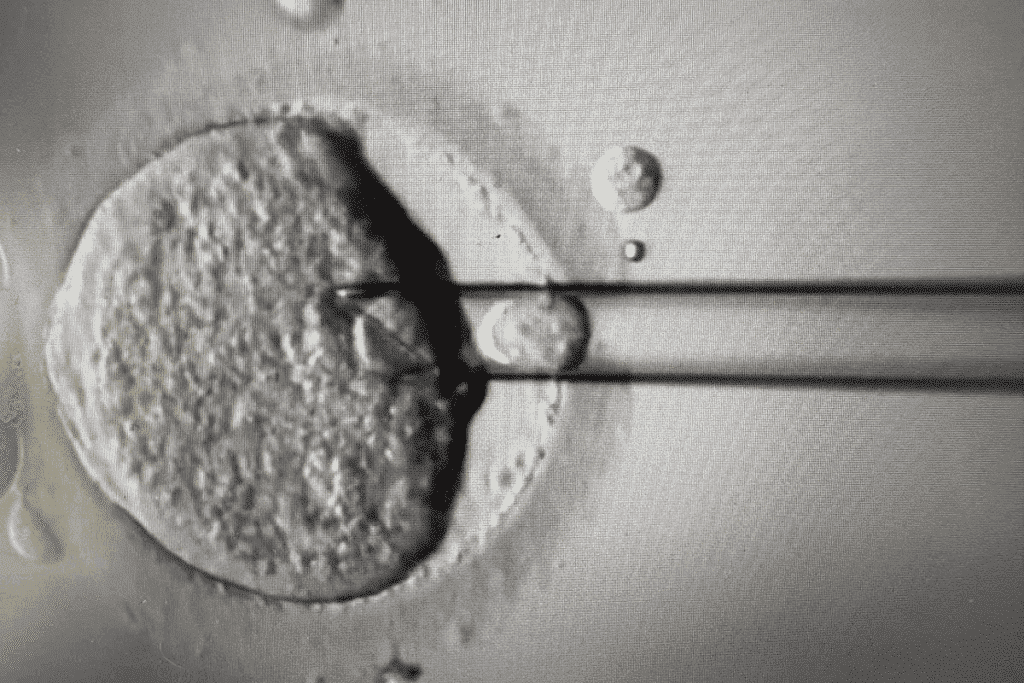 Understanding depo provera medroxyprogesterone and Its Mechanism