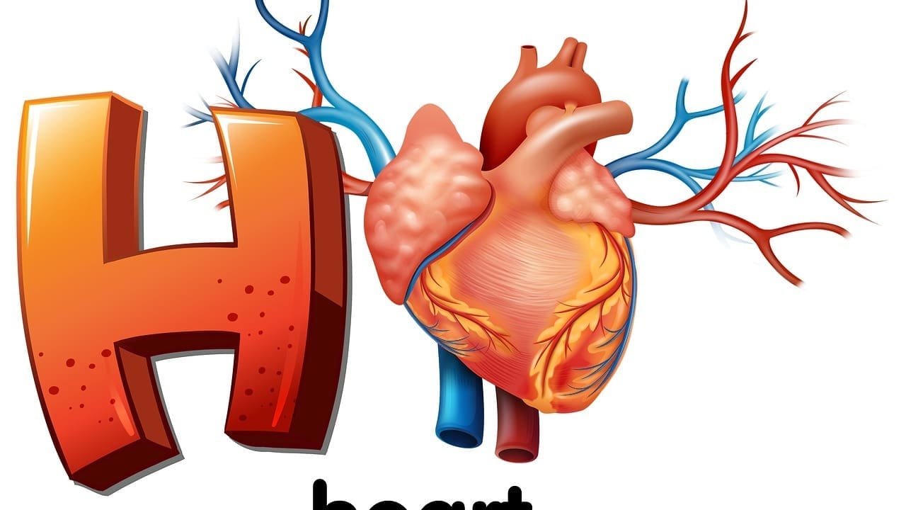 8 Key Facts About Aneurysm of Ascending Aorta Without Rupture