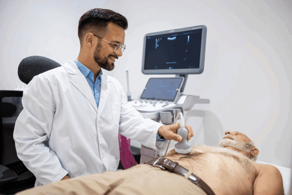 Abdominal Aorta Artery: 8 Key Facts and Anatomy