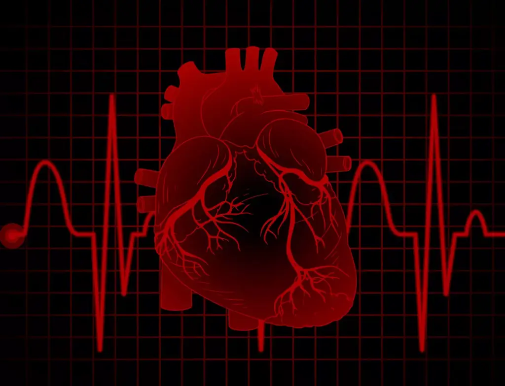 A detailed electrocardiogram (ECG) depicting the abnormal heart rhythm patterns after excessive alcohol consumption. The foreground shows the vivid pulsating rhythm waves, with the erratic peaks and troughs capturing the dysregulation caused by alcohol's physiological impact. The middle ground features a faint anatomical heart silhouette, underscoring the direct effect on cardiac function. The background is a blurred, muted color palette, placing the focus squarely on the technical medical visualization. Dramatic lighting casts sharp shadows, heightening the sense of urgency and the strain on the cardiovascular system. Captured with a high-resolution medical imaging lens, the result is a striking, scientifically accurate illustration of the detrimental influence of alcohol on heart rhythm. A detailed electrocardiogram (ECG) depicting the abnormal heart rhythm patterns after excessive alcohol consumption. The foreground shows the vivid pulsating rhythm waves, with the erratic peaks and troughs capturing the dysregulation caused by alcohol's physiological impact. The middle ground features a faint anatomical heart silhouette, underscoring the direct effect on cardiac function. The background is a blurred, muted color palette, placing the focus squarely on the technical medical visualization. Dramatic lighting casts sharp shadows, heightening the sense of urgency and the strain on the cardiovascular system. Captured with a high-resolution medical imaging lens, the result is a striking, scientifically accurate illustration of the detrimental influence of alcohol on heart rhythm.
