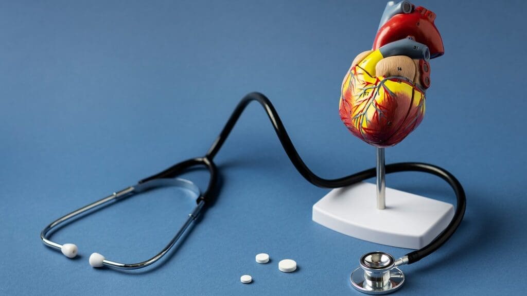 heart valves function
