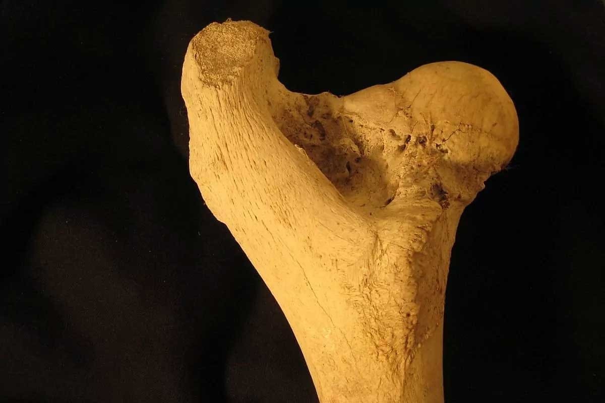 image 5118 LIV Hospital