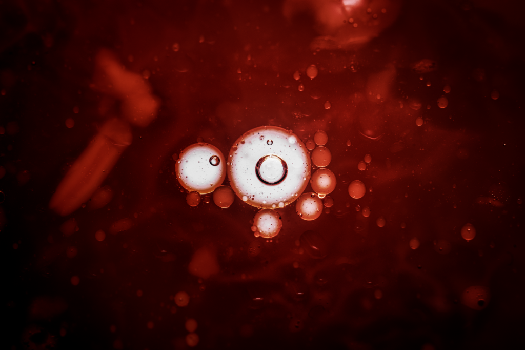 Where Do Stem Cells Come From? 1 image 19 LIV Hospital