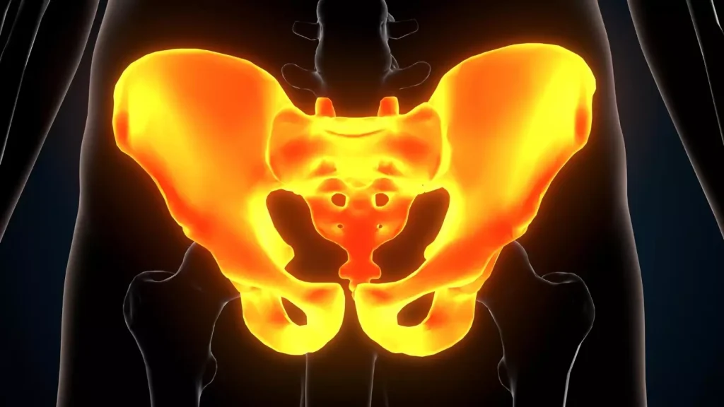 A detailed cross-section illustration of the different types of bone marrow, including yellow marrow, red marrow, and spongy bone. The image should be rendered in a clean, scientific style with crisp lines, high contrast, and a neutral color palette. The focus should be on clearly depicting the distinct anatomical structures and compositions of the various marrow types, allowing the viewer to understand the nuanced differences between them. The lighting should be bright and even, with a slight top-down directional quality to enhance the sense of depth and three-dimensionality. The camera angle should be slightly elevated to provide a comprehensive, panoramic view of the bone marrow structures. A detailed cross-section illustration of the different types of bone marrow, including yellow marrow, red marrow, and spongy bone. The image should be rendered in a clean, scientific style with crisp lines, high contrast, and a neutral color palette. The focus should be on clearly depicting the distinct anatomical structures and compositions of the various marrow types, allowing the viewer to understand the nuanced differences between them. The lighting should be bright and even, with a slight top-down directional quality to enhance the sense of depth and three-dimensionality. The camera angle should be slightly elevated to provide a comprehensive, panoramic view of the bone marrow structures.