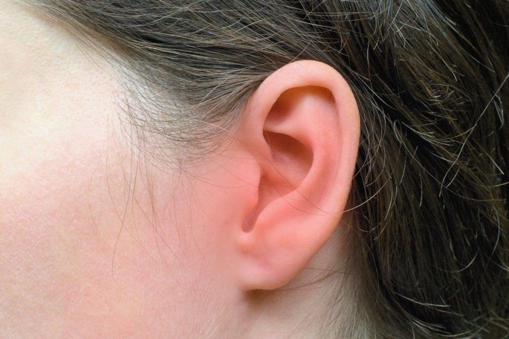 What Do Ear Infections Look Like? Viral vs. Bacterial Signs