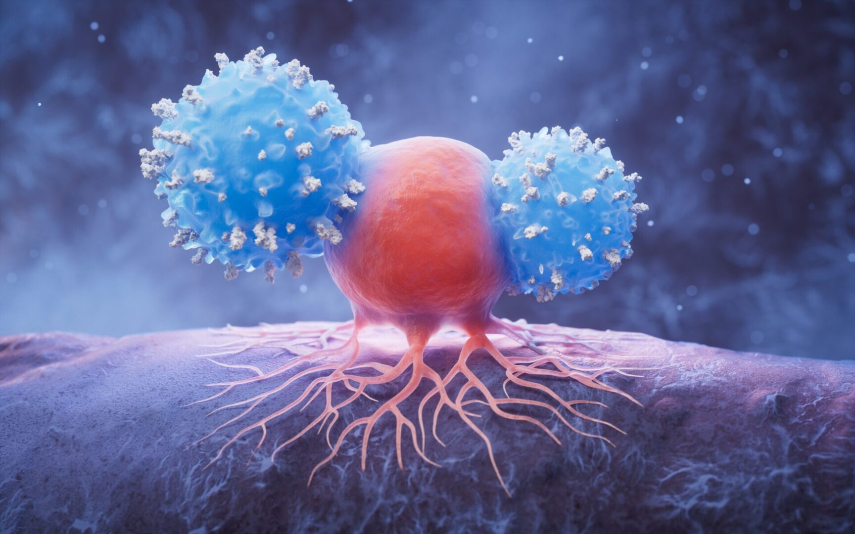 shutterstock_2480344577