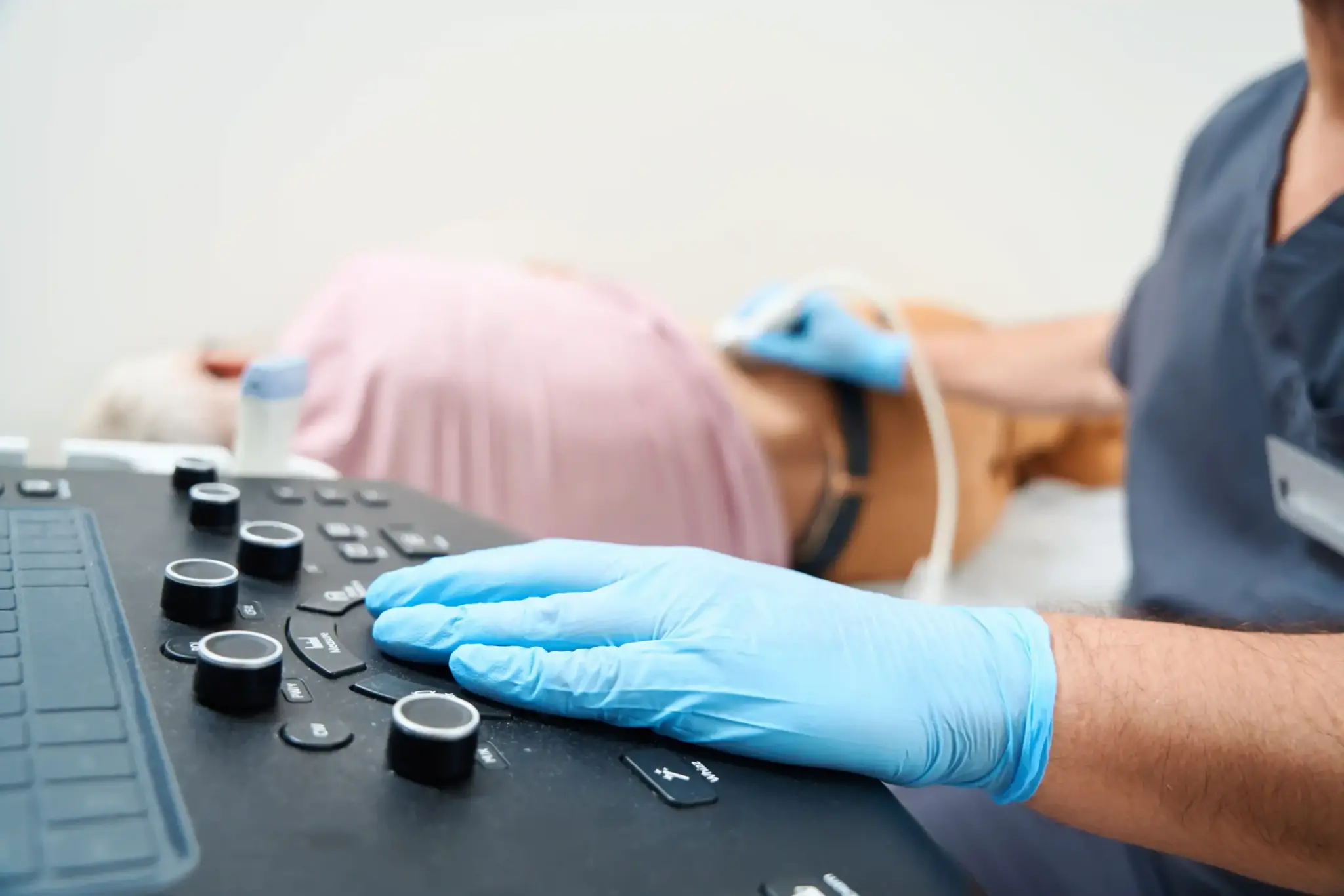 shutterstock_2383880189