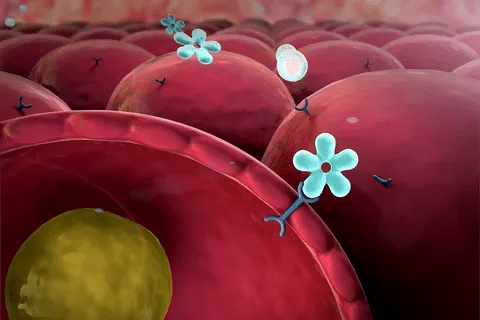 Amazing What Does Allopurinol Do For Gout Treatment?