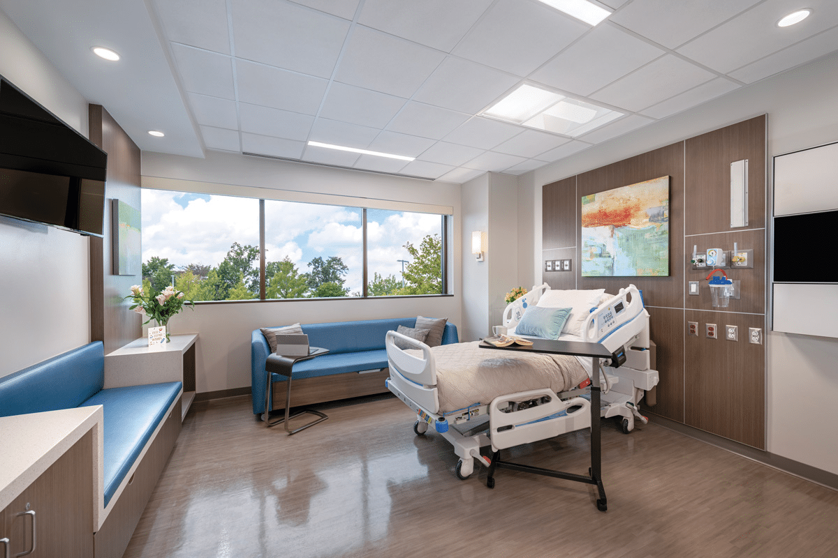 Essential 5 Natural Methods: Can Bone Loss Be Reversed?