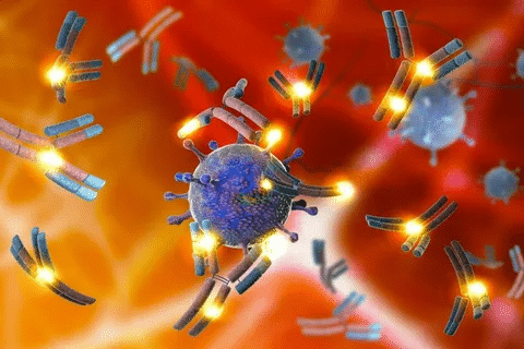 Complete ANA Titer And Pattern: 1:80 To 1:320 Results