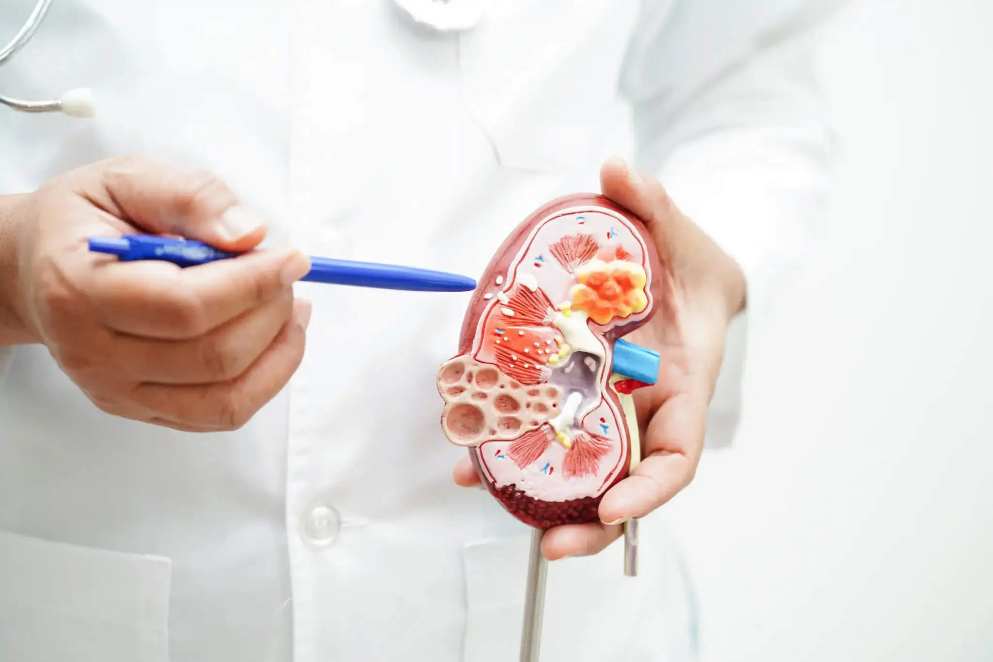 shutterstock 2364905109 scaled LIV Hospital