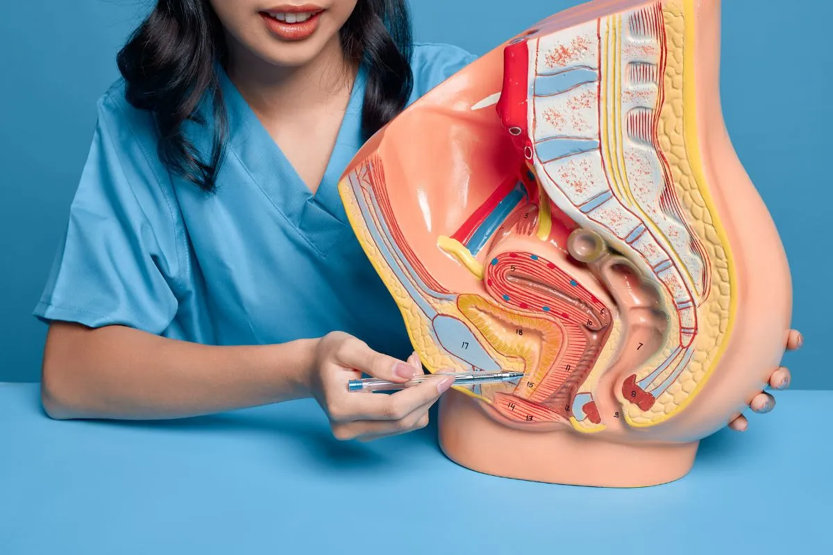 Essential How To Fix A Prolapsed Bladder: Treatment & Symptoms