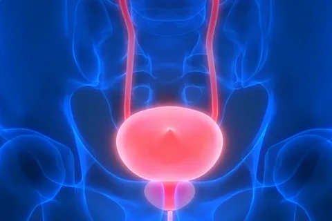 Essential How To Fix A Prolapsed Bladder: Treatment & Symptoms