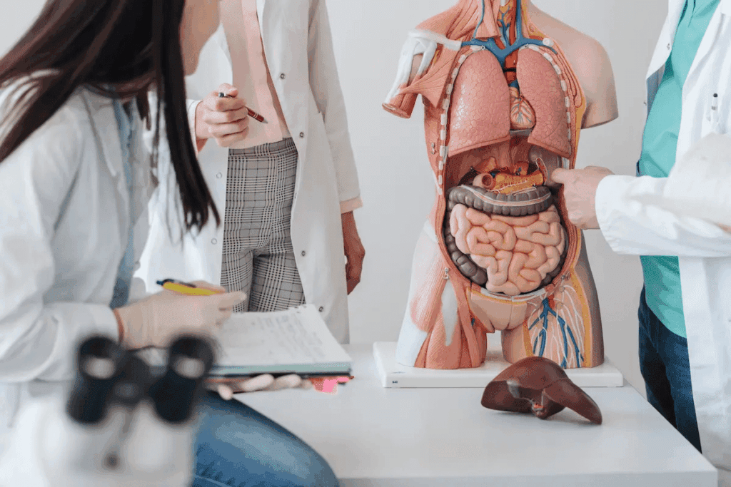 Vagus Nerve Cranial Nerve: The Complete Guide