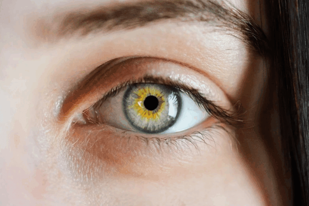 Guide Why Are My Eyes Eye Shrinking? Understanding Phthisis