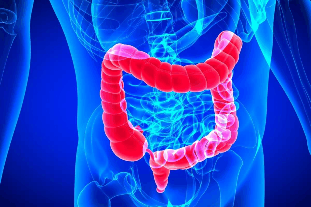 Essential 7 Facial Nerve Segments: Anatomy & MRI Guide