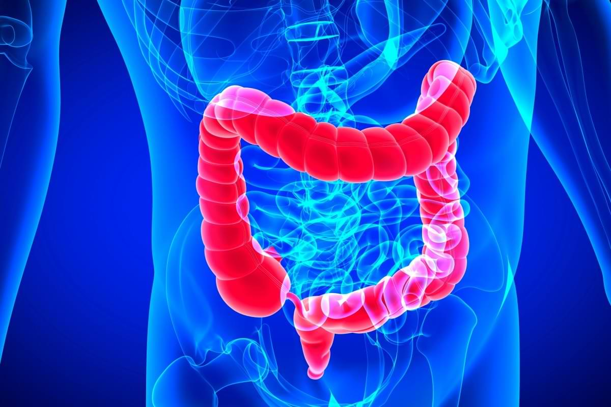 CN Examination: The Ultimate Clinical Guide