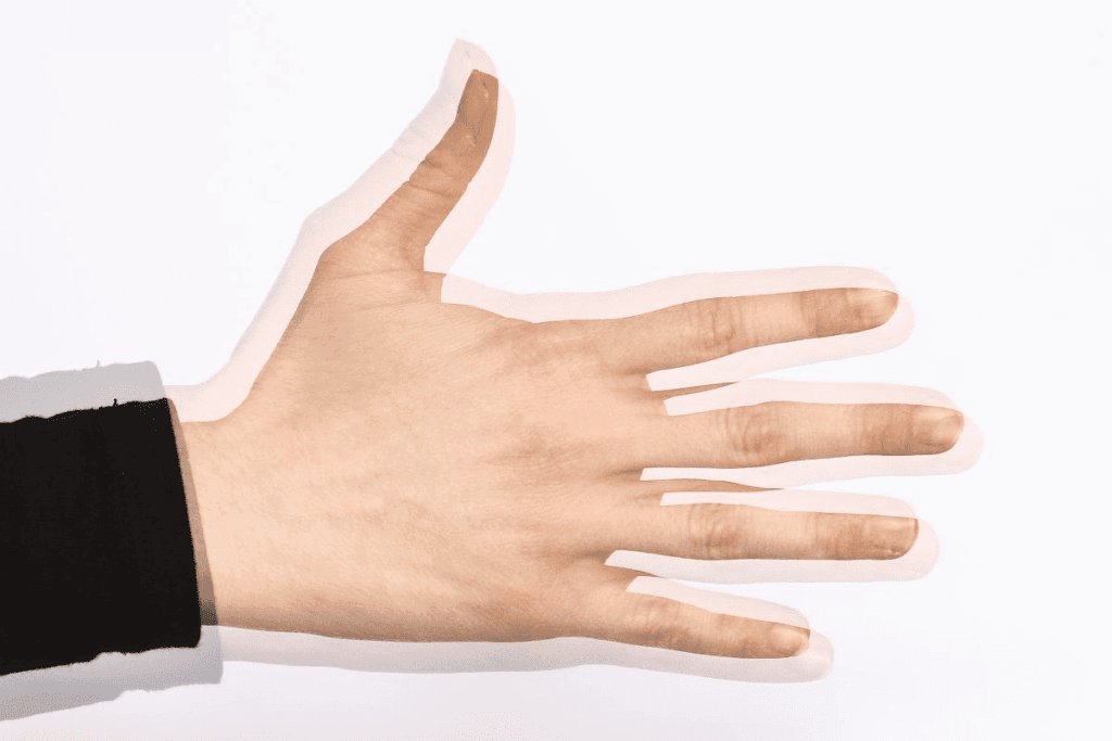 Cranial Nerve 13: Understanding the 13th Cranial Nerve