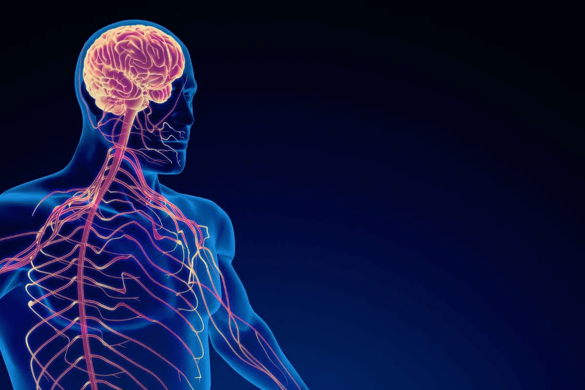 What Does Occlusion Mean in Medical Terms? Find Out