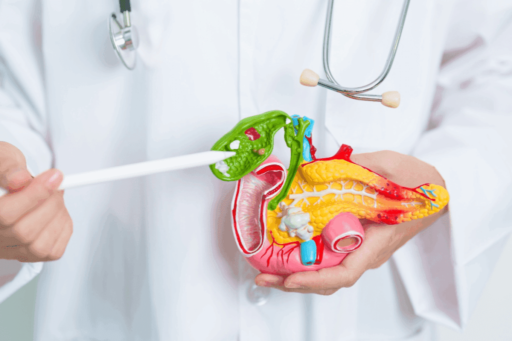 Best Bariatric Surgery Options Guide