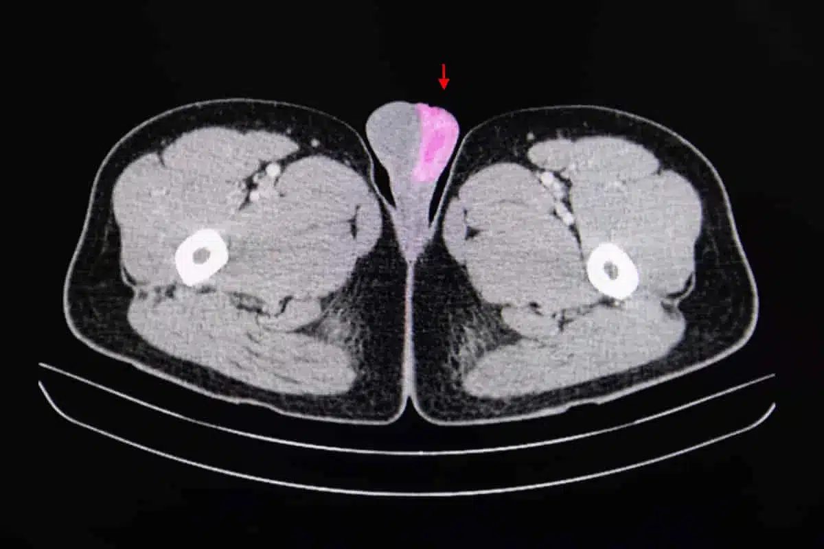 image 1 2793 LIV Hospital