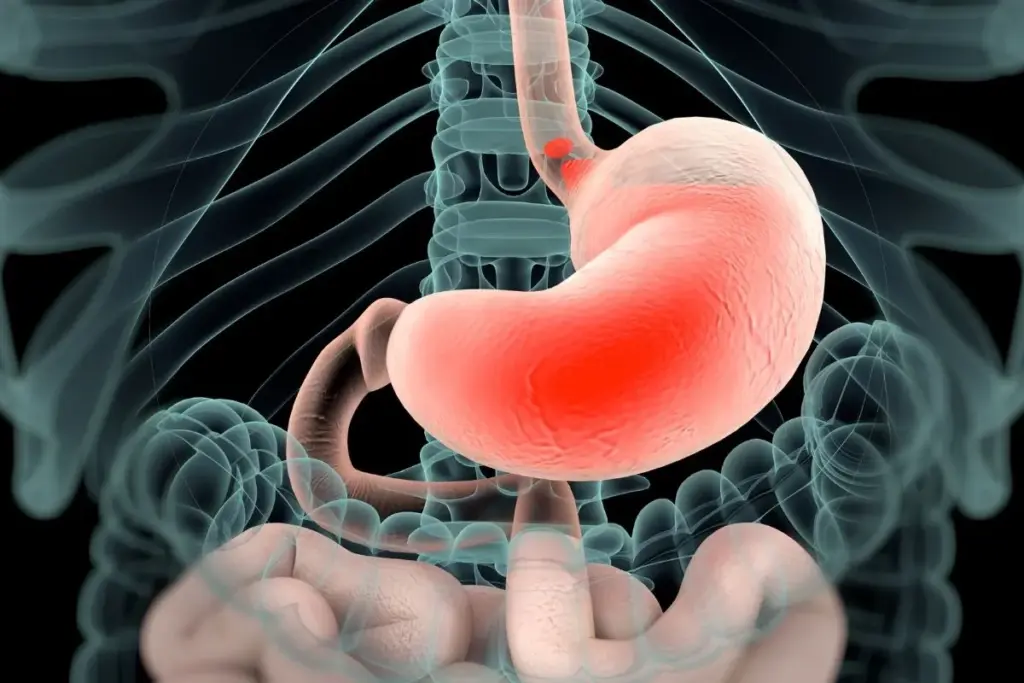 image 2 2282 LIV Hospital