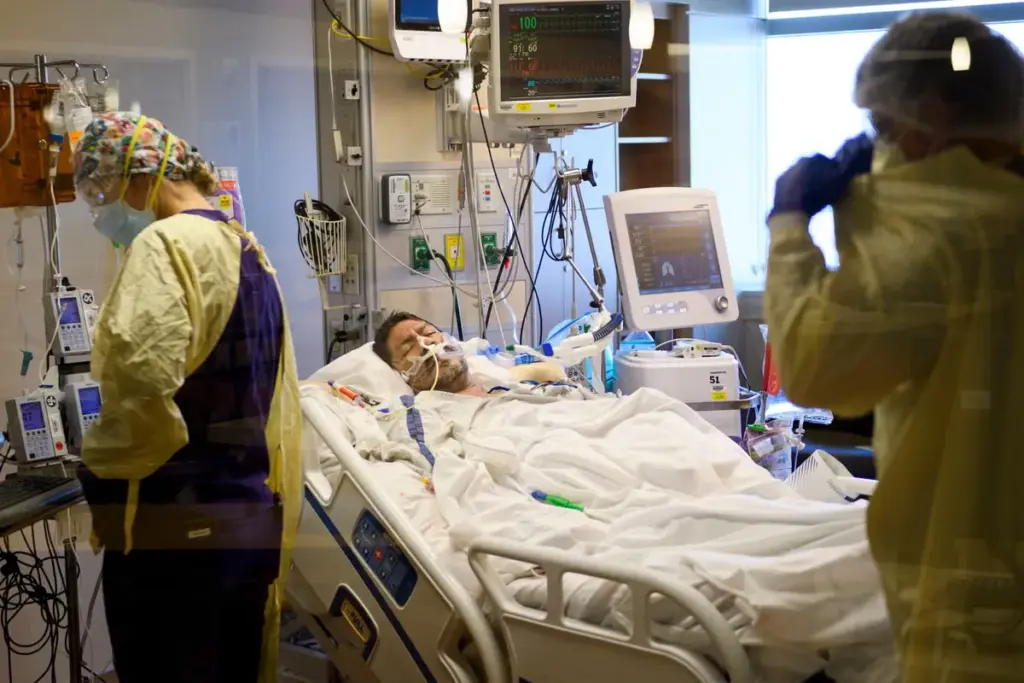 Valuable Which Type Of Stent Is Best (Best Stent Type)? 2 Valuable Which Type Of Stent Is Best (Best Stent Type)?