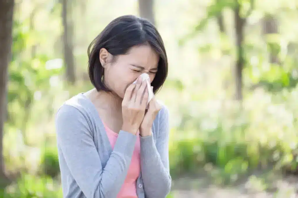 Essential Why Am I Suddenly Allergic To My House (Sudden Home Allergies)?